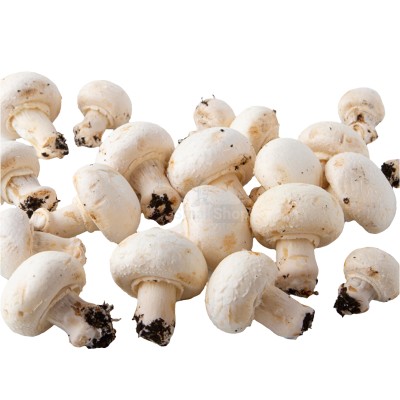 Шампиньоны свежие 500 г - купить в Маре